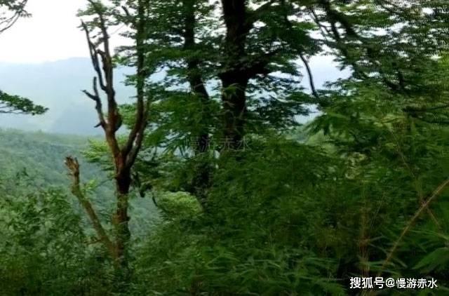 拯救小学生