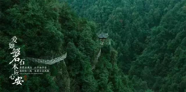 口袋森林世界杯防守战