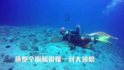 探索未知世界,与一个工具变量为什么要检验两次?一起解答疑惑!