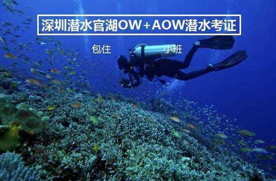 重庆市六届人大二次会议开幕 政府工作报告凸显各项进步