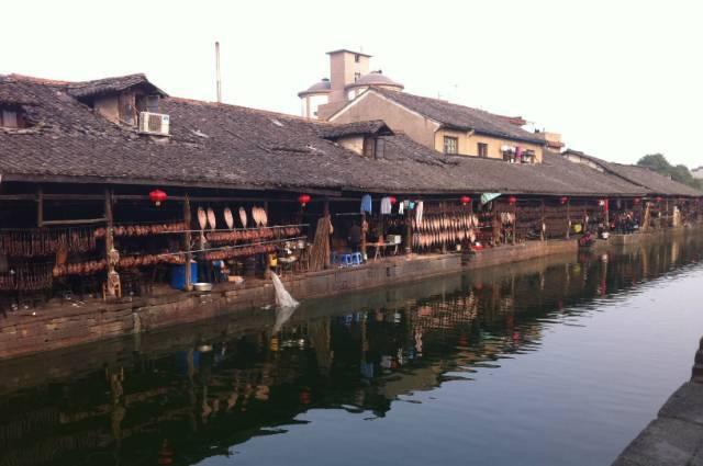 罗峰变回金角巨兽本体,一招秒杀15位恒星级九阶,副作用被删除