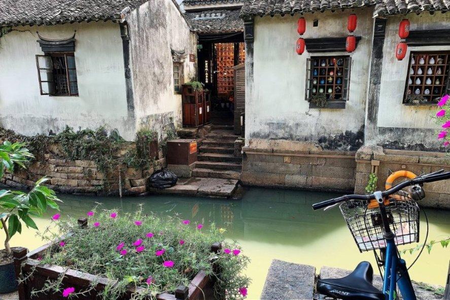 硕大的苹果
